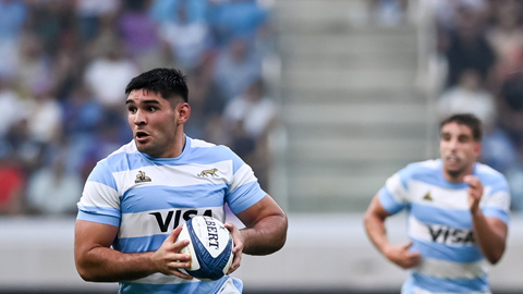 Argentina ends Springboks’ winning run Argentina ends Springboks’ winning run | News Article