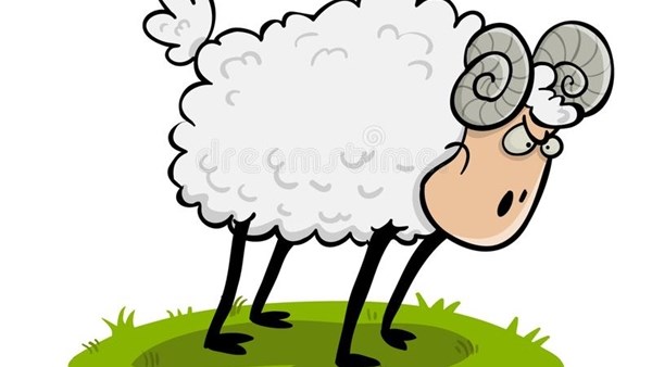 Weird Wide Web - Sheep sent to jail Weird Wide Web - Sheep sent to jail | News Article