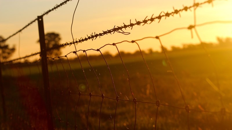 Landbounuus: Nadoodse ondersoek toon Noordwes-boer is vermoor | News Article