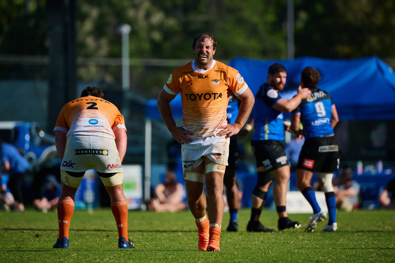 Cheetahs hold on to beat the Force | News Article