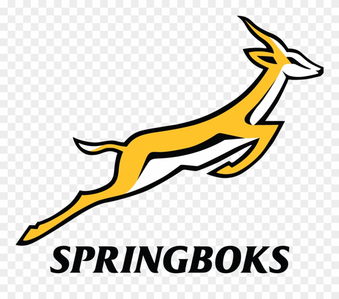 Bok fans to meet their heroes today | News Article