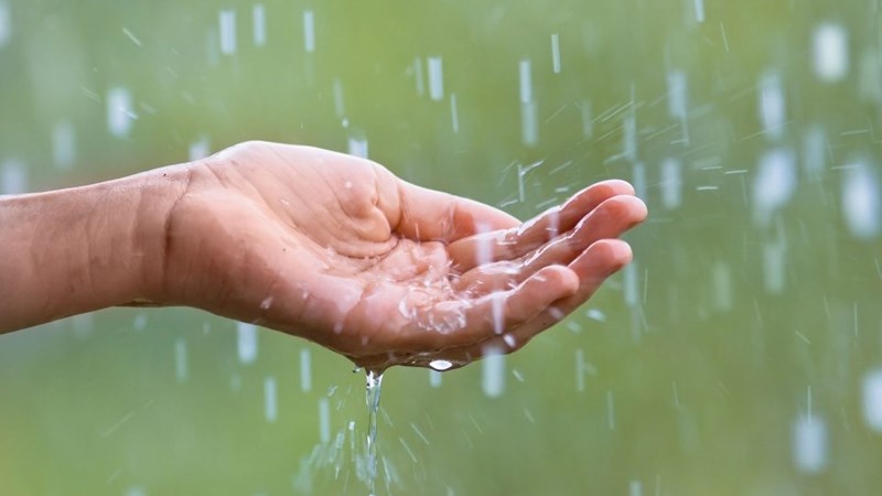 Reën vir Februarie voorspel; bring verligting van hitte Reën vir Februarie voorspel; bring verligting van hitte | News Article
