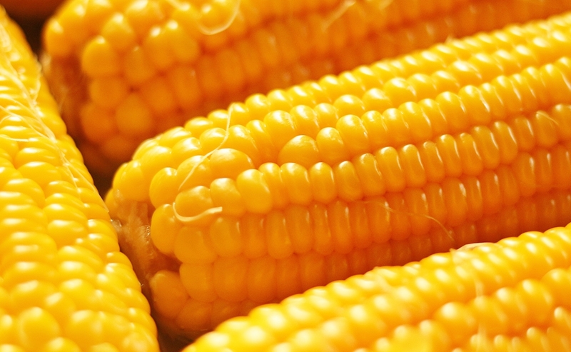 Agri-uur: Jongste Safex-nuus | News Article