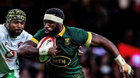 Springboks return home unbeaten in Autumn International Series | News Article