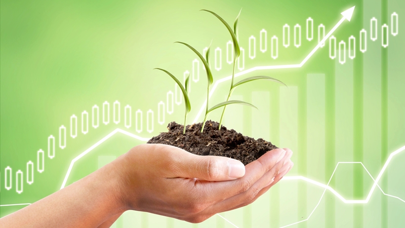 Bou nou voort op positiewe sentiment | News Article