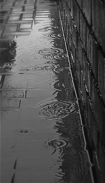 #FSfloods: School resumes in Qwaqwa  | News Article
