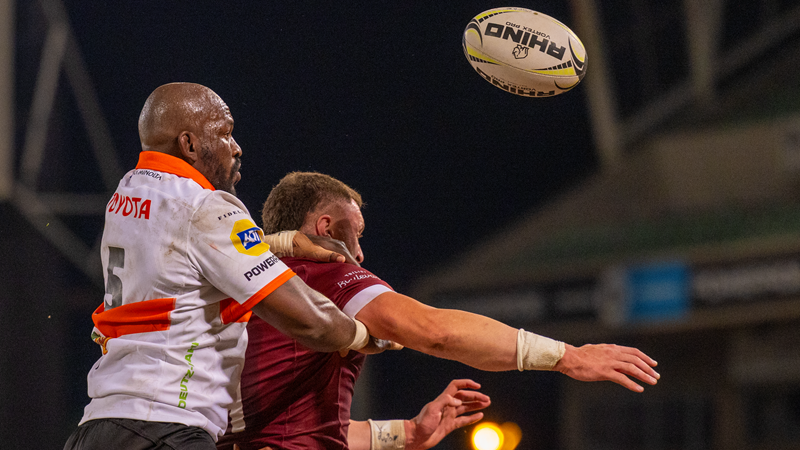 Cheetahs find their roar ahead of Currie Cup | News Article