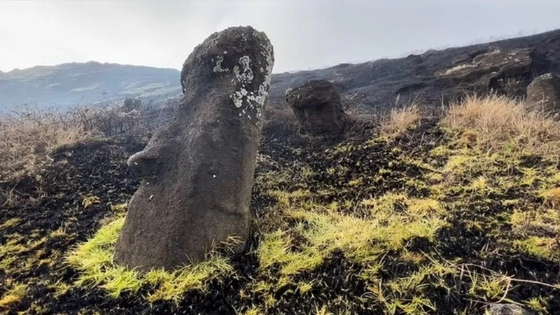 Easter Island statues damaged by fire Easter Island statues damaged by fire | News Article