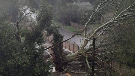 Talle geraak deur Kaapse stormweer Talle geraak deur Kaapse stormweer | News Article