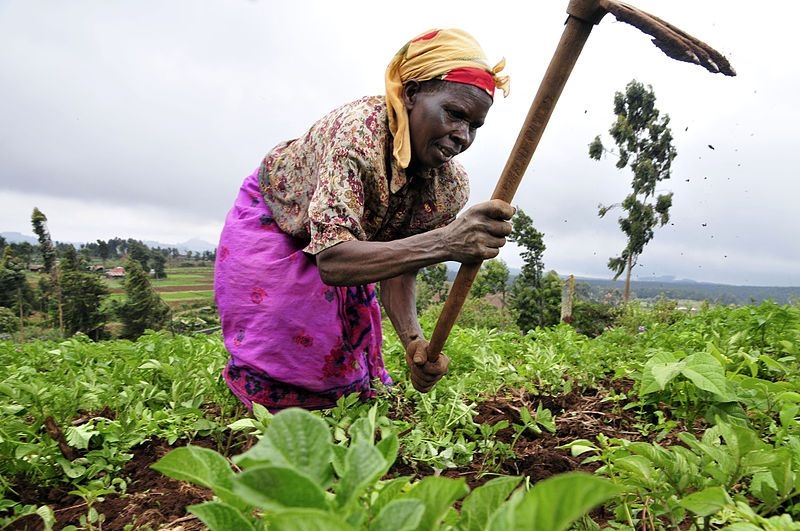 District municipality takes services to farmers | News Article