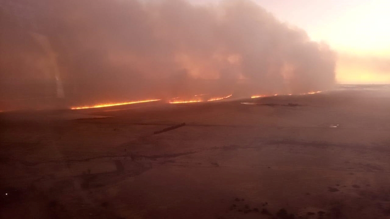 Wegholveldbrand suid van Bloemfontein onder beheer | News Article