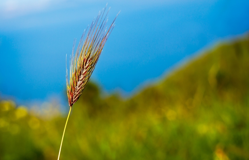 Agri-uur: Jongste Safex-nuus | News Article