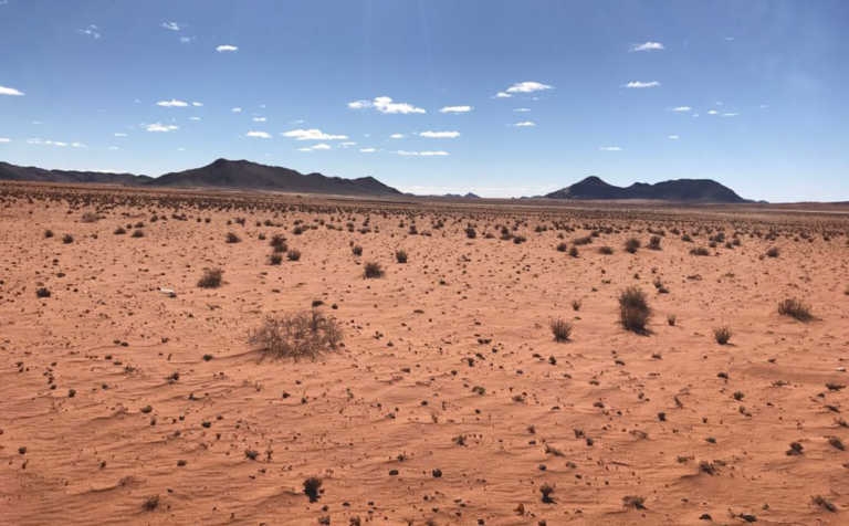 Landbounuus: Groep stap meer as 160 km vir droogtehulp | News Article