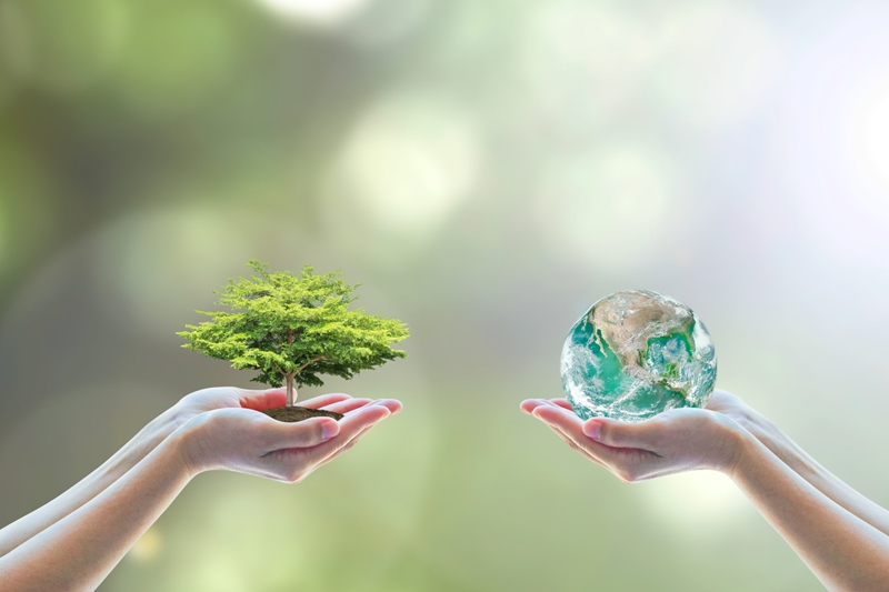 #OFMBusinessHour: Understanding the ESG movement  | News Article