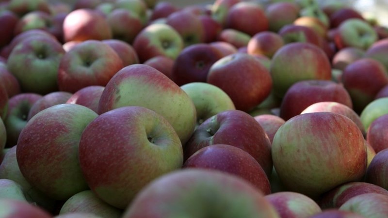 ‘Another fantastic agriculture season ahead’ ‘Another fantastic agriculture season ahead’ | News Article