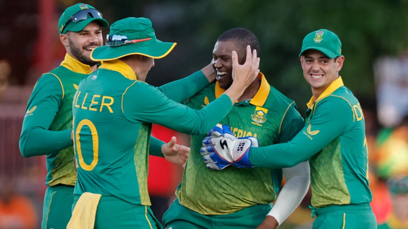 Forgotten Protea joins Knights | News Article