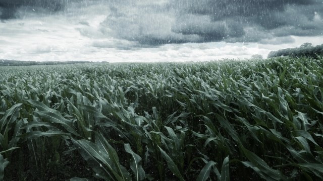 Nóg reën verwag in dele van Vrystaat, Noord- en Oos-Kaap Nóg reën verwag in dele van Vrystaat, Noord- en Oos-Kaap | News Article