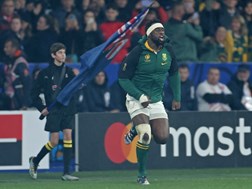 Boks pick strong team for first Ireland Test | News Article