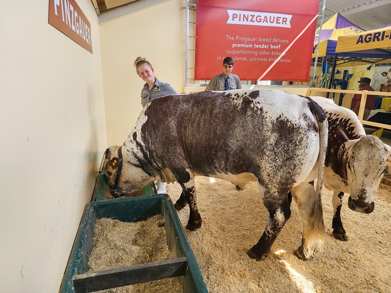 NAMPO ALFA: Bittersoet oomblik toe gr.12-leerder haar laaste jeugskou-kompetisie wen | News Article