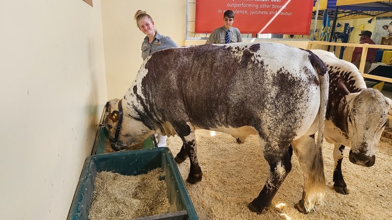 NAMPO ALFA: Bittersoet oomblik toe gr.12-leerder haar laaste jeugskou-kompetisie wen | News Article