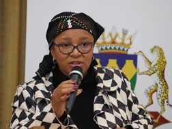 Free State MEC to be sworn in as new Premier, replacing Dukwana | News Article