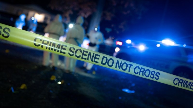 Police launch search after killing of patron Police launch search after killing of patron | News Article