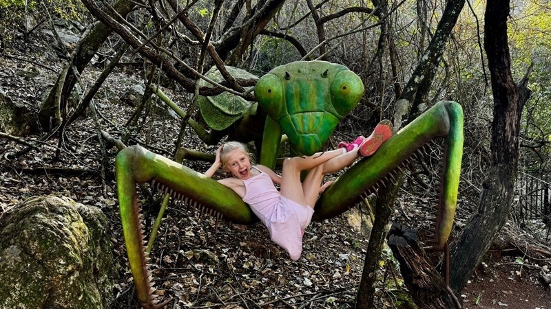 Noordwes-meisie onder eerste in SA wat nuwe kogleêre inplanting kry | News Article