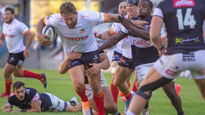 Frans Steyn appointed as Cheetahs' Director of Rugby Frans Steyn appointed as Cheetahs' Director of Rugby | News Article