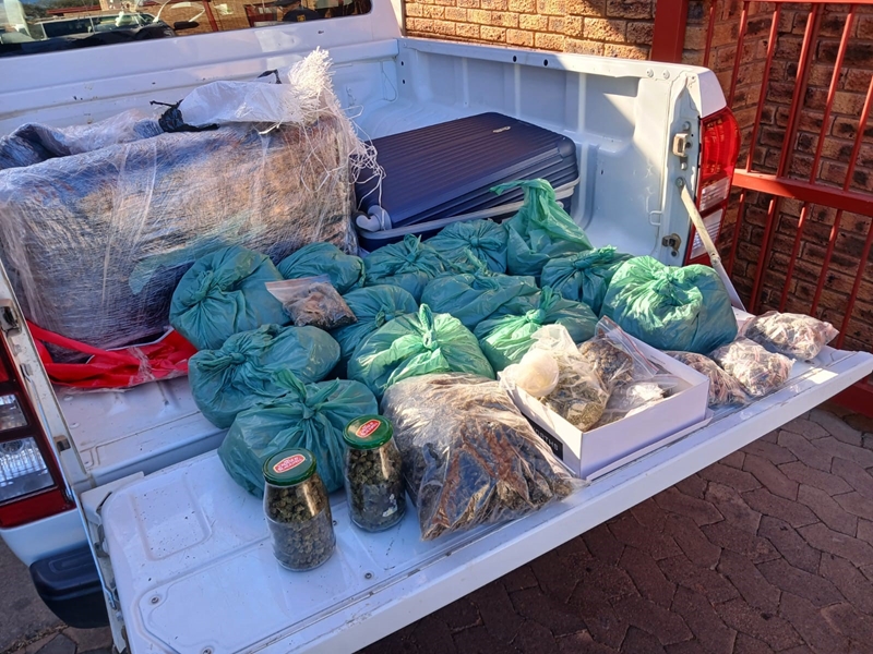 Polisie voer klopjag in Upington uit; R800k se dagga gevind | News Article