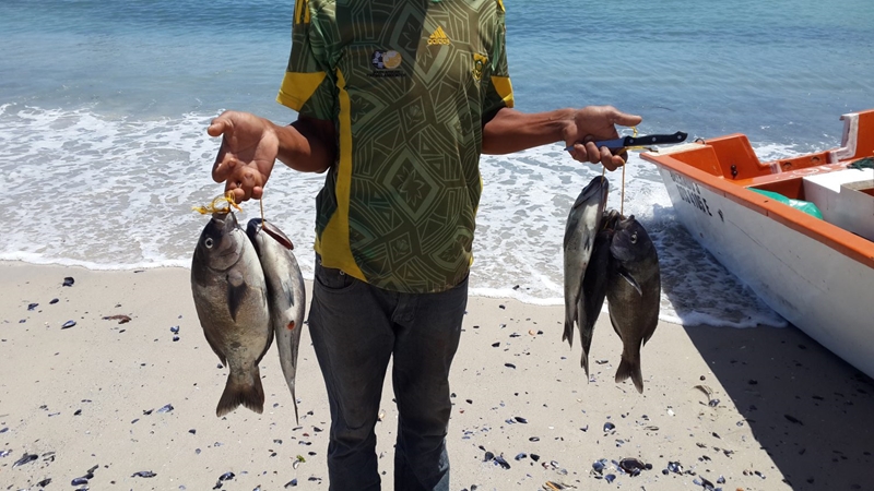 Commercial fishing rights allocation process – applications still open  | News Article
