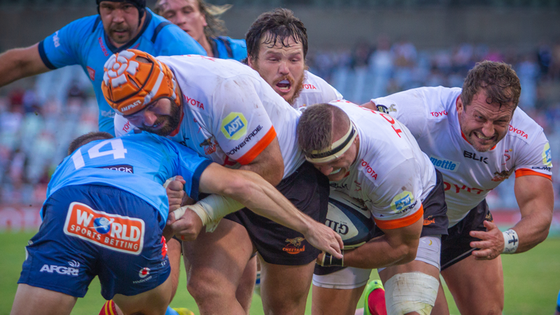 Cheetahs target breakdown and forward dominance against Cardiff | News Article