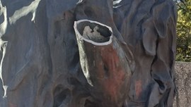 Historiese standbeeld op Hertzogplein beskadig – VIDEO’S Historiese standbeeld op Hertzogplein beskadig – VIDEO’S | News Article