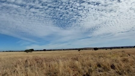Ongewone weerpatrone vir komende week verwag Ongewone weerpatrone vir komende week verwag | News Article
