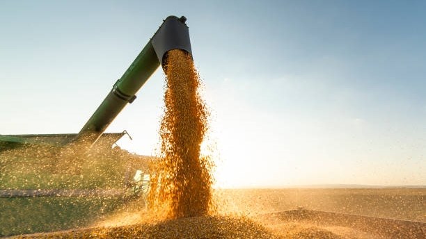 Afname in Suid-Afrika se somer-oesvooruitskattings Afname in Suid-Afrika se somer-oesvooruitskattings | News Article