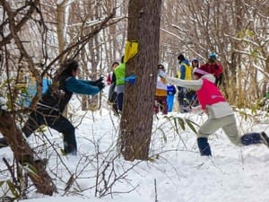 Weird Wide Web – Japan se uiterste wegkruipertjie in sneeu | News Article