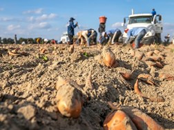 Produsente gemaan om lone betyds by Vergoedingsfonds te verklaar | News Article
