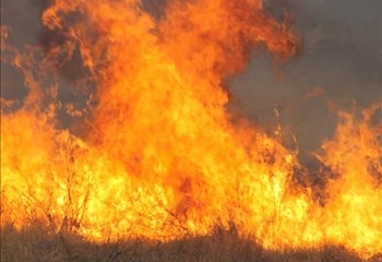 Extremely high fire danger conditions expected in parts of Northern Cape | News Article