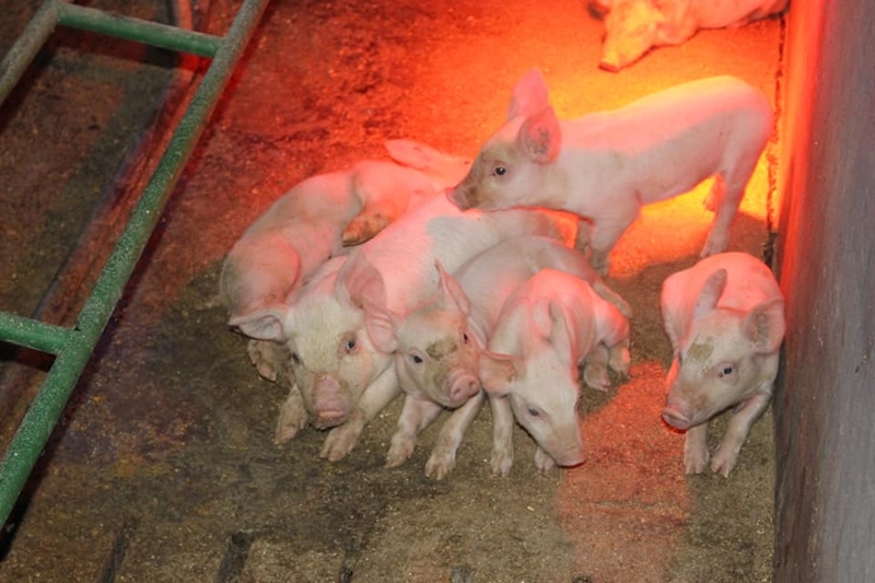 Hier is van jou hoof landboustories op OFM | News Article