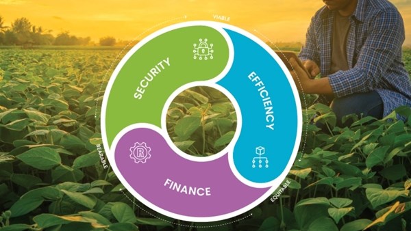 Get peace of mind with Nashua Get peace of mind with Nashua | News Article