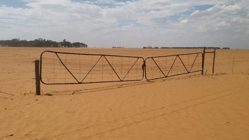 Landbounuus-podcast: Groot verligting na drie provinsies as droogterampgebiede verklaar is | News Article