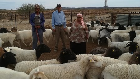 Begin jou eie boerdery, moedig NK-skaapboer vroue aan | News Article