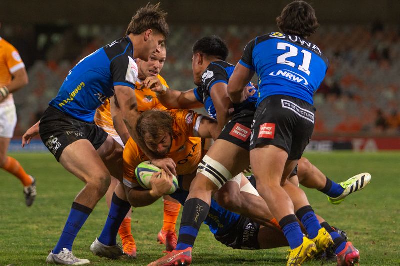 Cheetahs to up the intensity against the Force | News Article