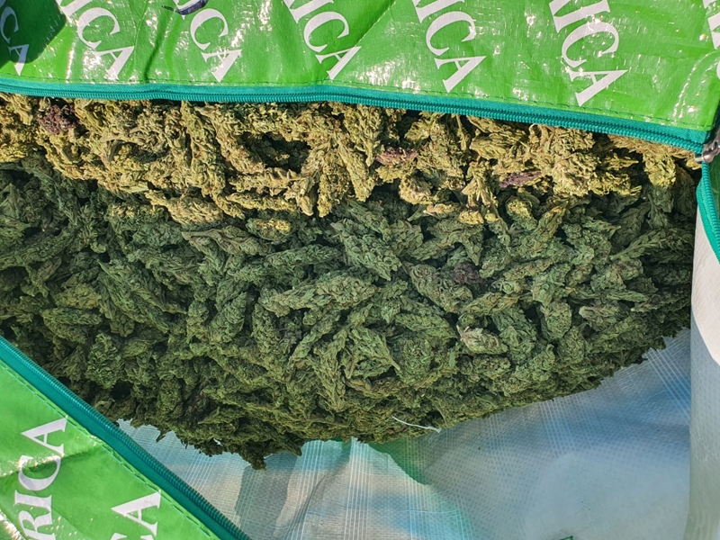 Rustenburg police arrest drug dealers with dagga worth R5 million | News Article