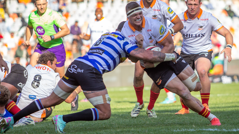 Van der Merwe and Boshoff back against WP Van der Merwe and Boshoff back against WP | News Article