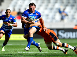 Stormers sweating over invaluable Fourie | News Article