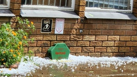Hailstorm destroys Free State town | News Article