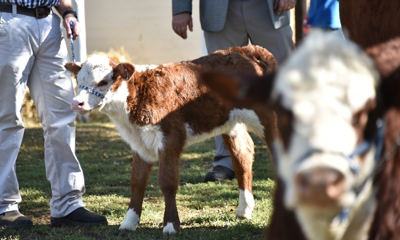 What’s new in Farmer’s Weekly? | News Article