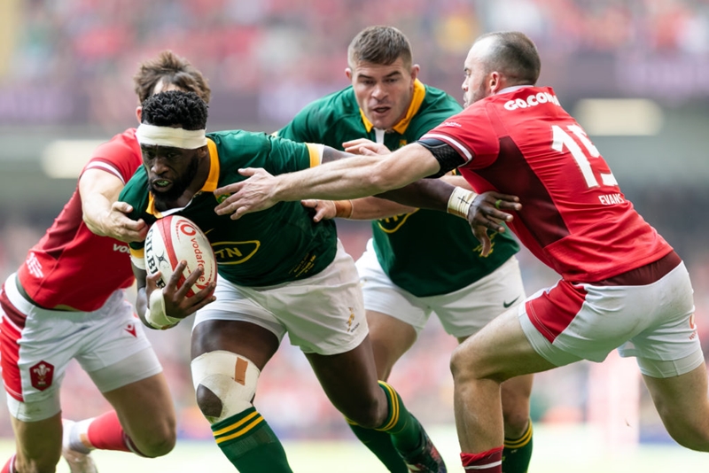 Magnificent win for the Boks in Cardiff | News Article