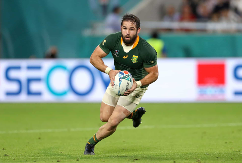 Reinach gunning for the Bok No 9 jersey | News Article