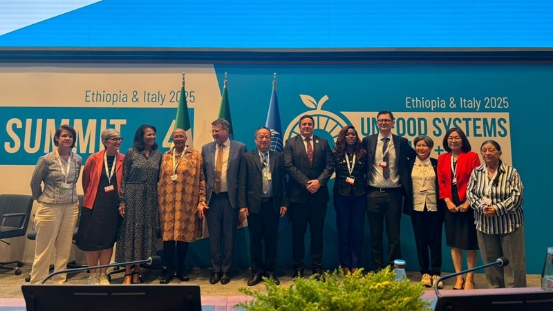SA reaffirms commitment to food sovereignty at UN summit | News Article
